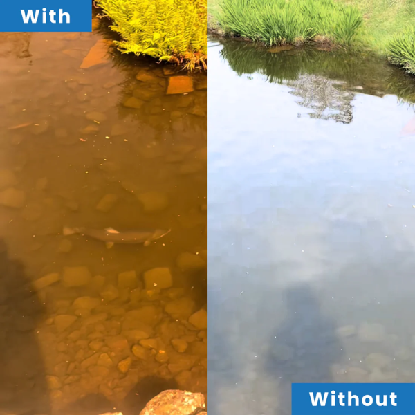 3.png__PID:664fc5c7-d6b7-4a40-a387-68888bcb6834