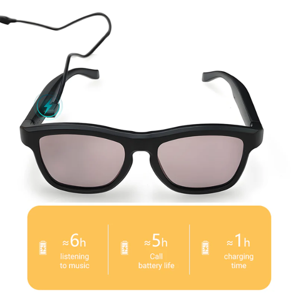 NEOVIEW™ AI WAYFARER